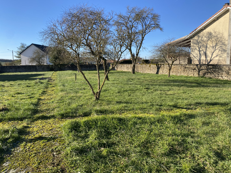jardin-studio